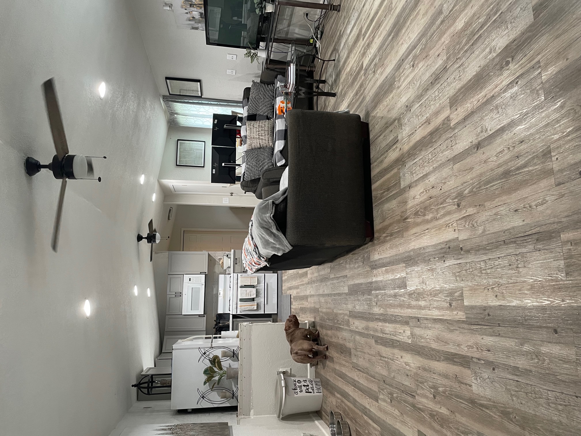 Living Room Into Kitchen